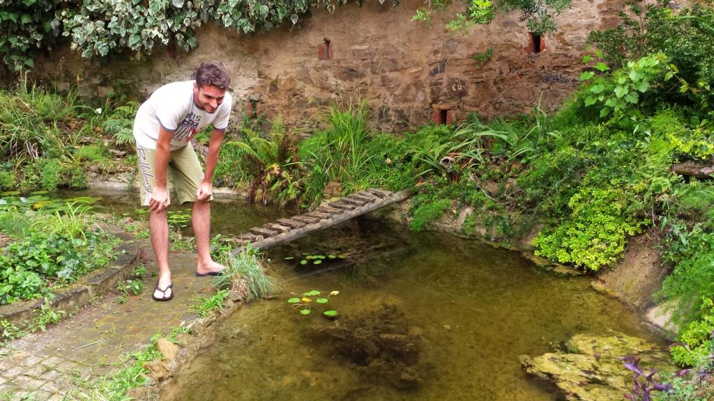 Il Laghetto del Centro di Entomologia - Piombino (LI)